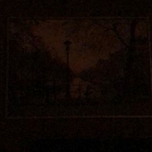 Meet your Posher, Jack